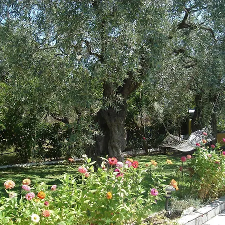 Ianthi * Limenas (Thasos)