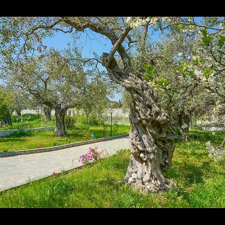 Ianthi Limenas (Thasos)